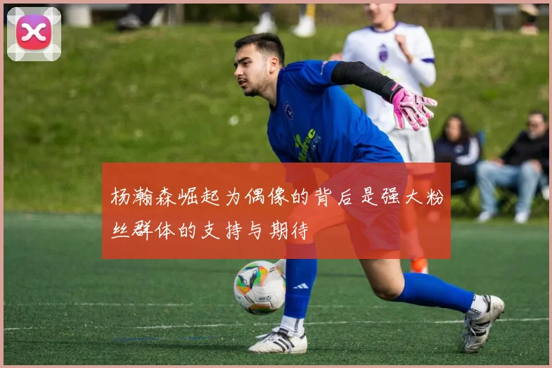 杨瀚森崛起为偶像的背后是强大粉丝群体的支持与期待