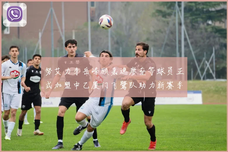 努艾力李岳峰顾嘉逸廖垒等球员正式加盟中乙厦门飞鹭队助力新赛季