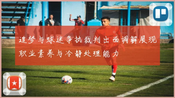 追梦与球迷争执裁判出面调解展现职业素养与冷静处理能力