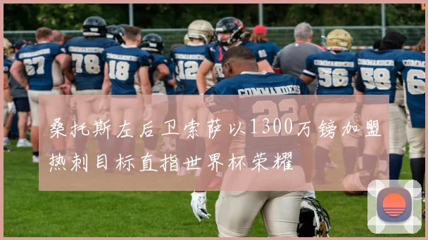桑托斯左后卫索萨以1300万镑加盟热刺目标直指世界杯荣耀