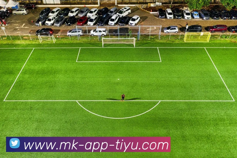 MK体育平台生态图